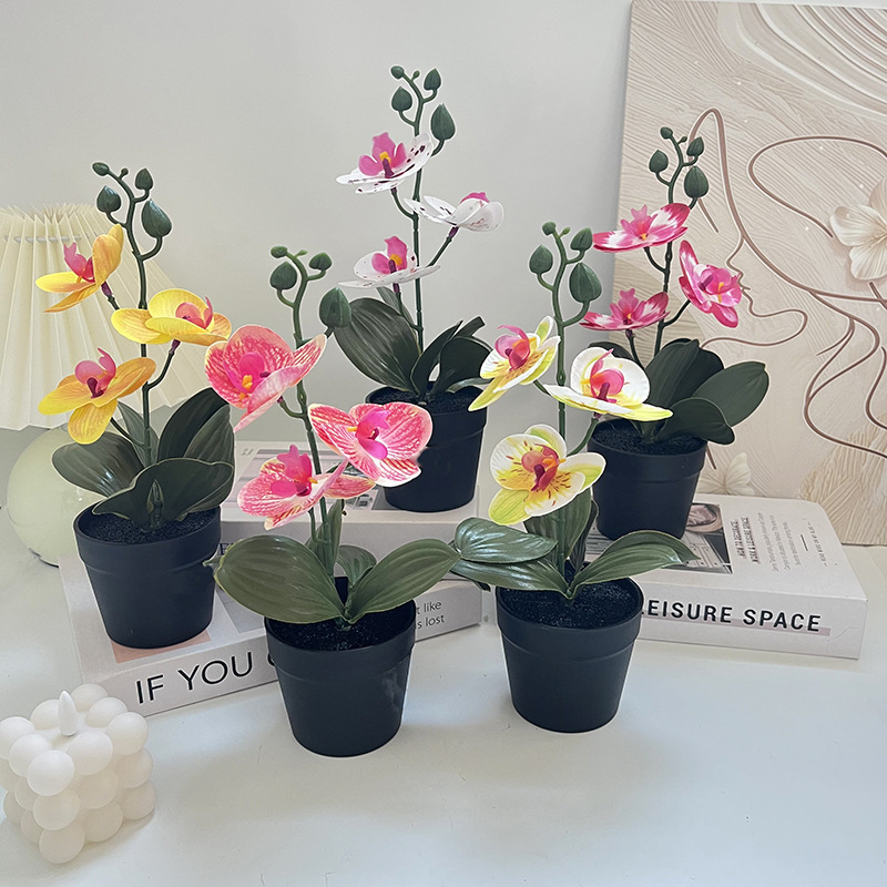 Light luxury black clay pot, b - Photography Lighting Simulator Free ulasan dan harga