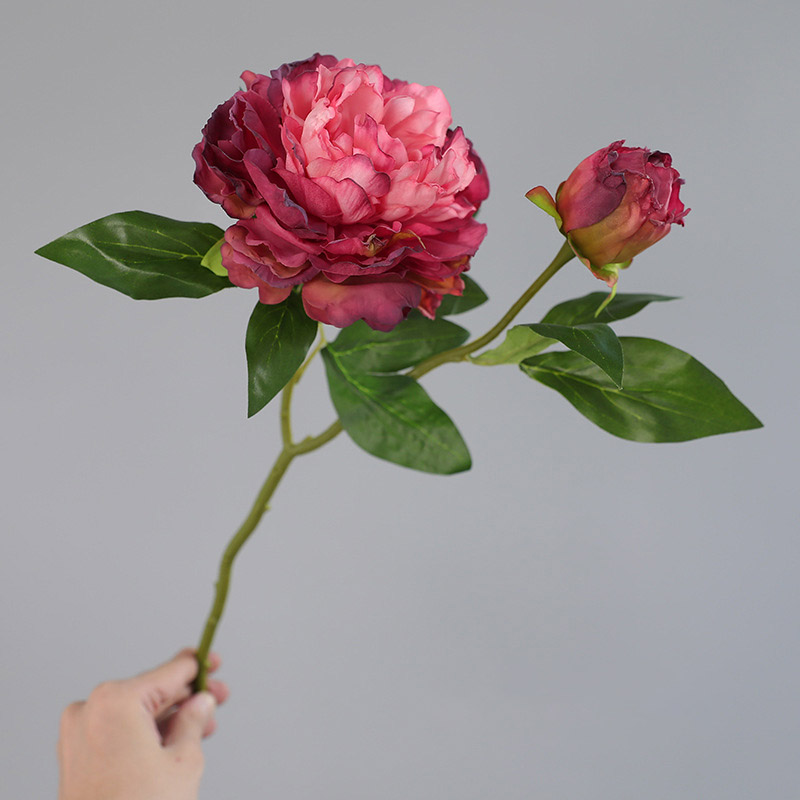 1PC Retro 2 Head Peony Simulat - Photography Lighting Simulator Free ulasan dan harga